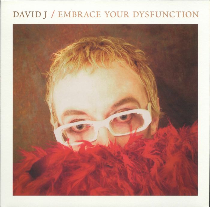 David J Embrace Your Dysfunction