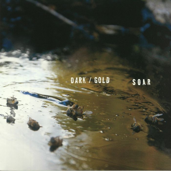 Soar Dark/Gold