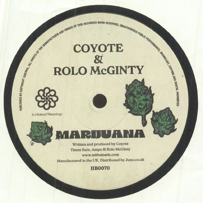 Coyote | Rolo Mcginty Marijuana