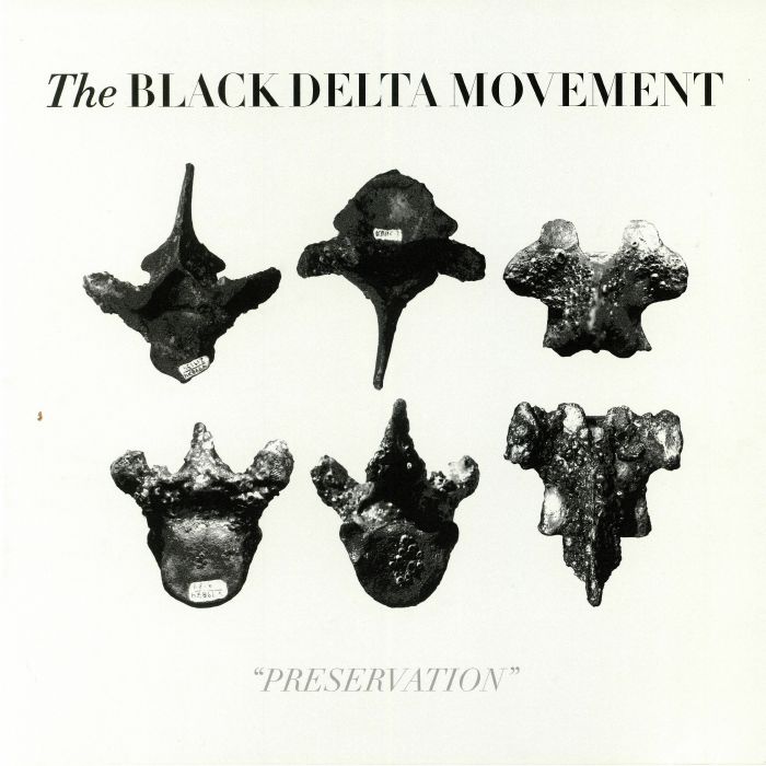 The Black Delta Movement Preservation