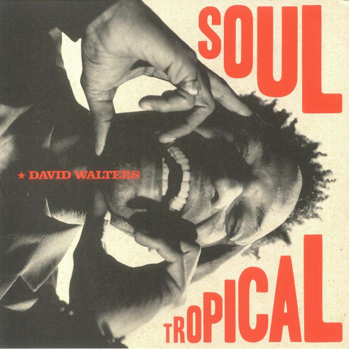 David Walters Soul Tropical