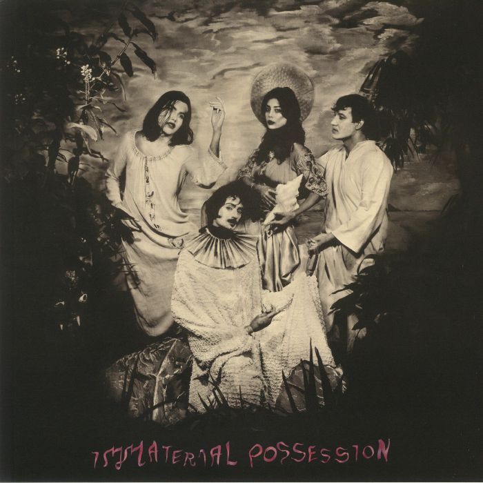 Immaterial Possession – Immaterial Possession vinyl cover