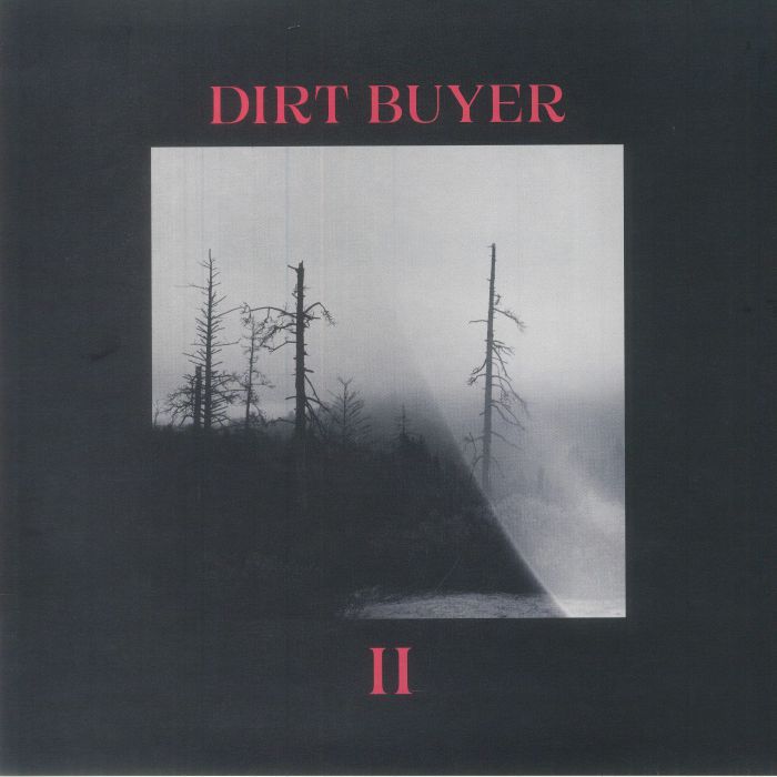 Dirt Buyer Vinyl