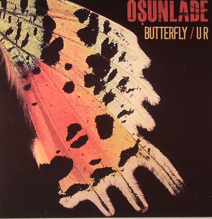 Osunlade Butterfly