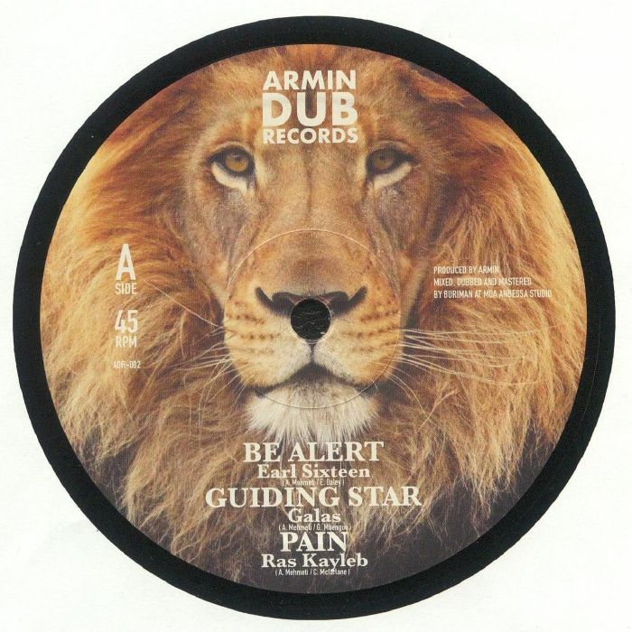 Armin Dub Vinyl