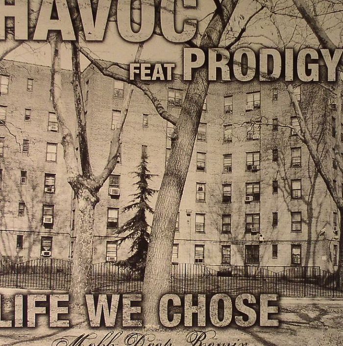 Havoc | Prodigy Life We Chose