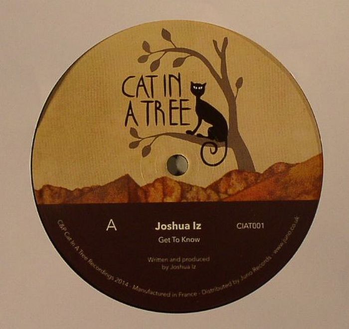 Cat In A Tree Recordings Vinyl