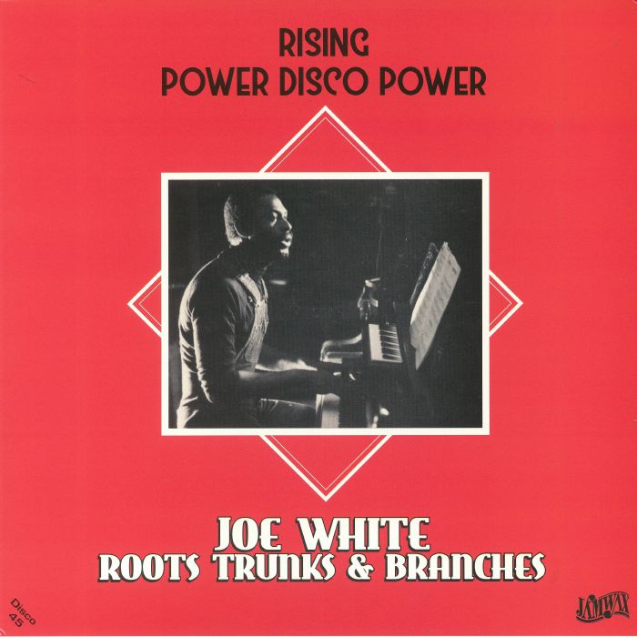 Joe White and Roots Trunks and Branches Rising