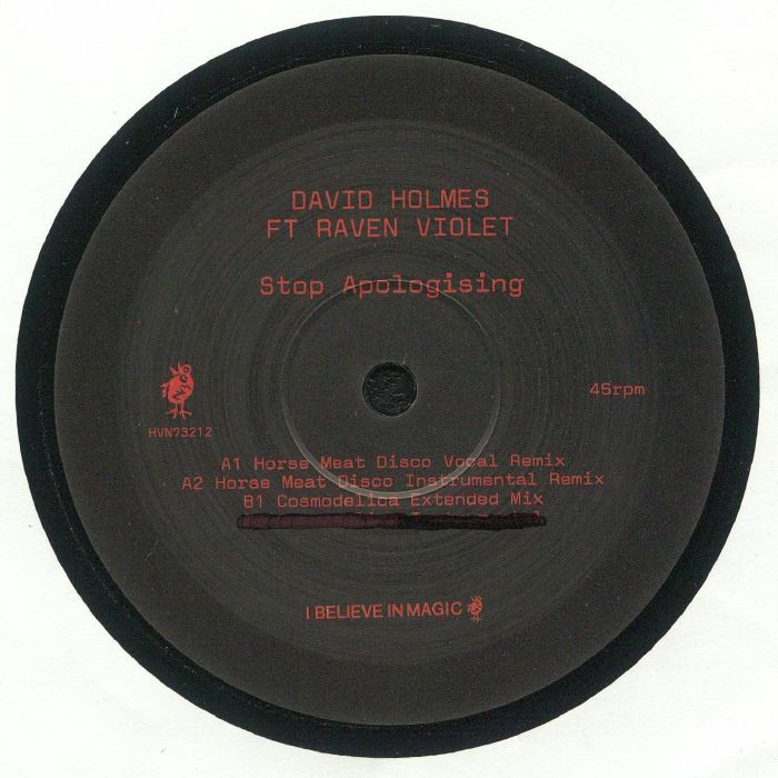 David Holmes | Raven Violet Stop Apologising