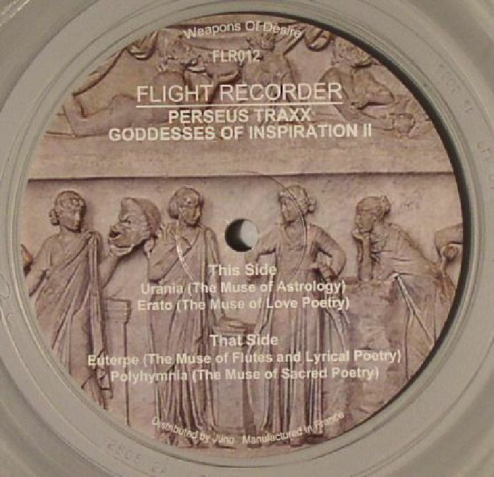 Flight Recorder Vinyl
