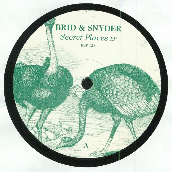 Brid & Snyder Vinyl