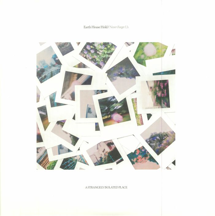 Earth House Hold – Never Forget Us vinyl cover