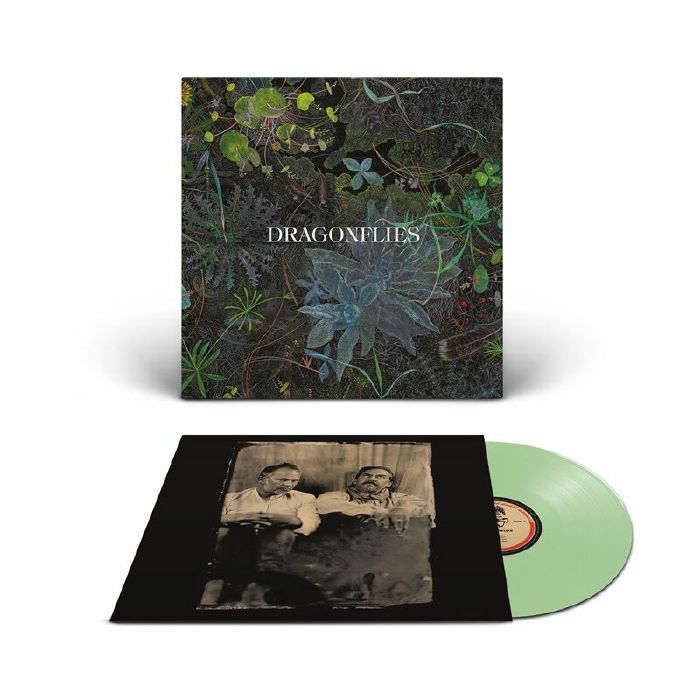 Dragonflies – Dragonflies vinyl cover