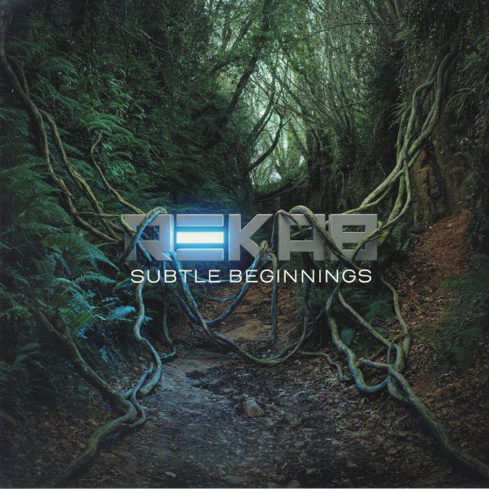 Rekab – Subtle Beginnings vinyl cover