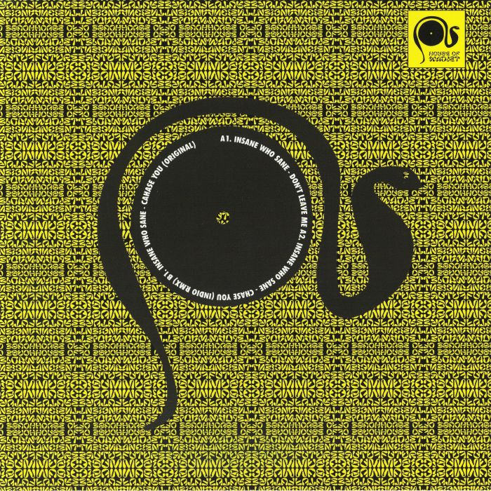 Insane Who Sane – Don't Leave Me EP vinyl cover