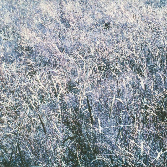Lunar Grave The Sunstruck Forest