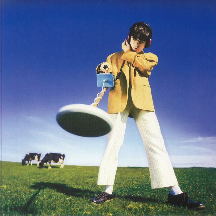 Declan Mckenna – What Happened To The Beach vinyl cover