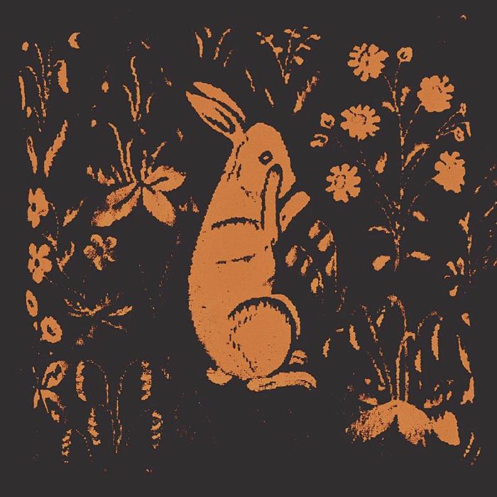 Sadness Aka Rabbit