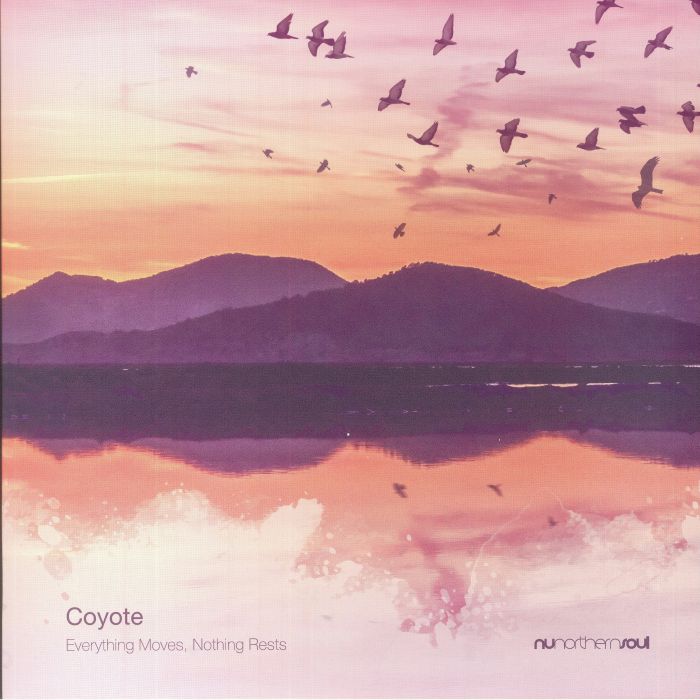 Coyote Everything Moves Nothing Rests