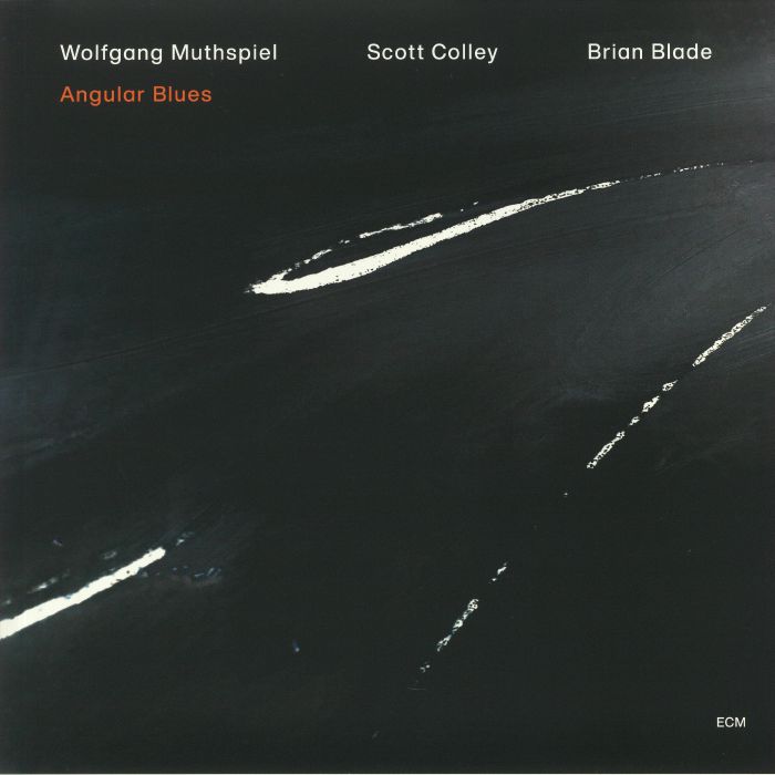 Wolfgang Muthspiel | Scott Colley | Brian Blade Angular Blues