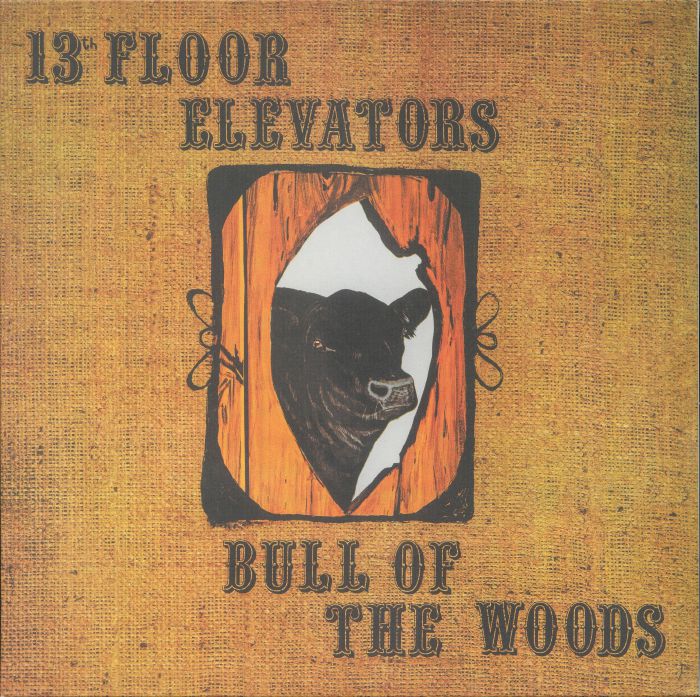 13th Floor Elevators Bull Of The Woods (half speed remastered)
