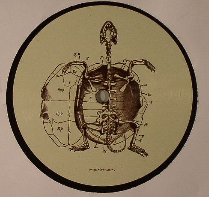 Stefano Testa Hot Seas Baby Turtle EP