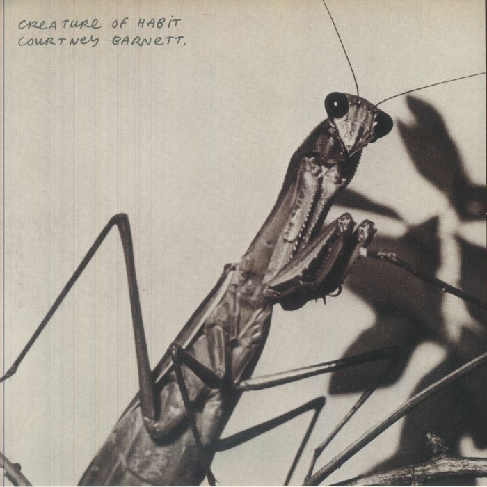 Courtney Barnett – Creature Of Habit vinyl cover