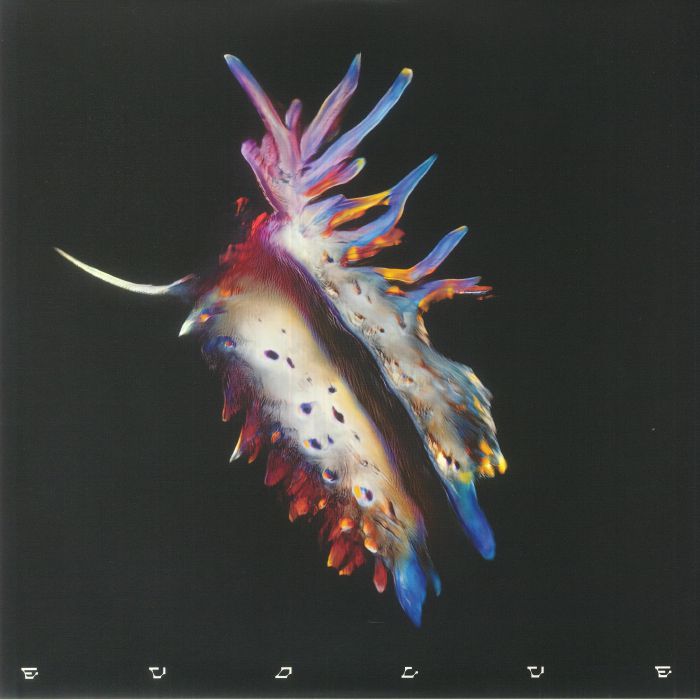Sub Focus – Evolve vinyl cover