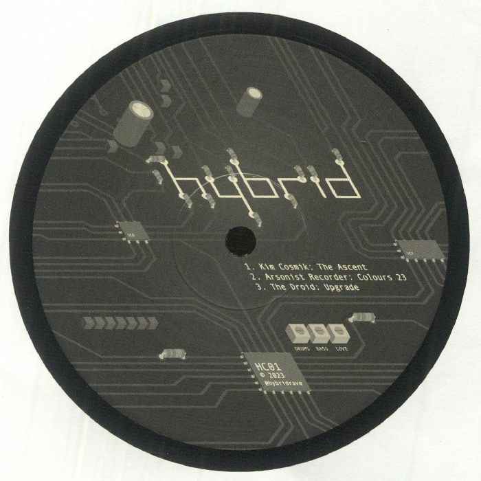 Hybrid Collective Vinyl