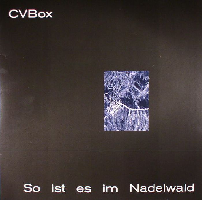 Cvbox So Ist Es Im Nadelwald