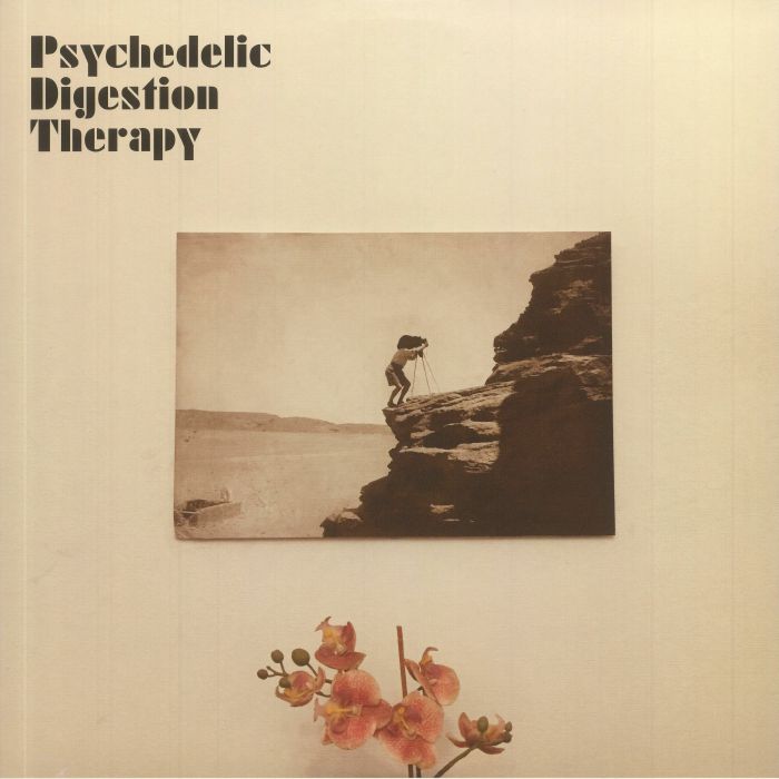 Psychedelic Digestion Therapy Psychedelic Digestion Therapy