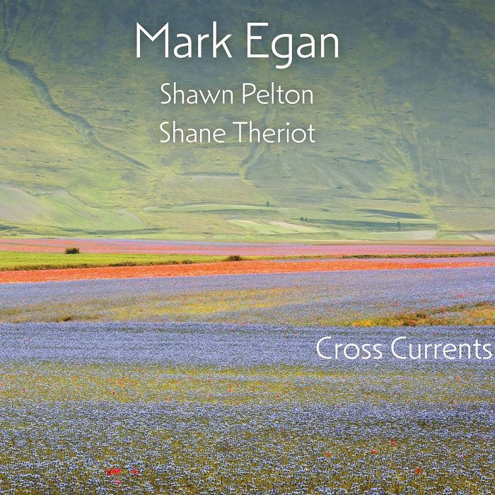 Mark Egan Vinyl