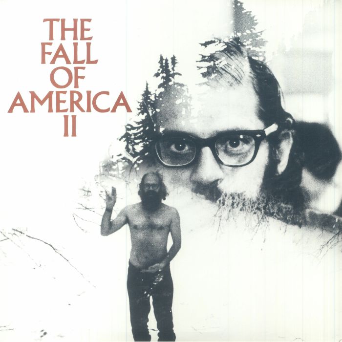 Allen Ginsberg Allen Ginsbergs The Fall Of America Vol II