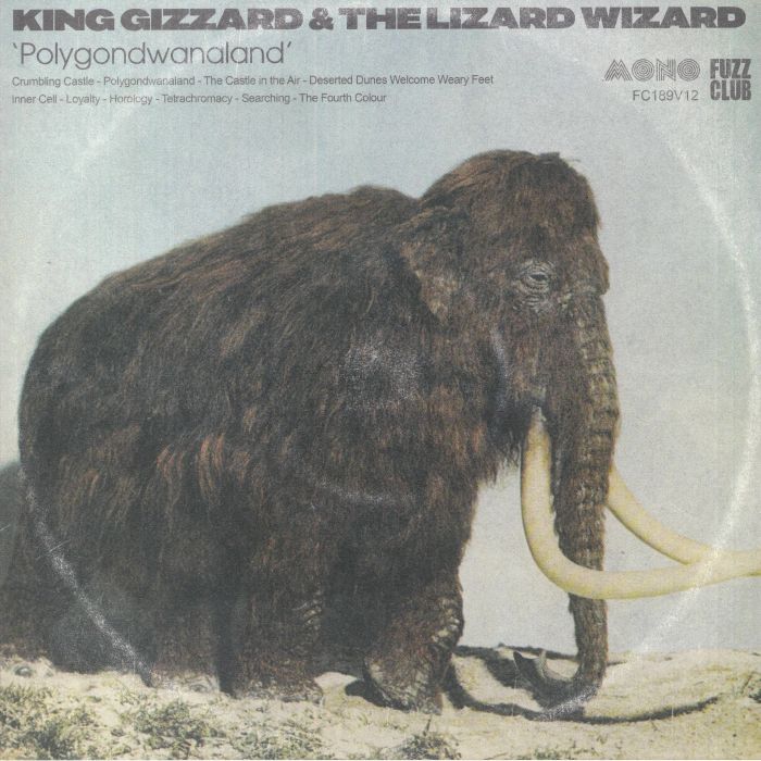 King Gizzard and The Lizard Wizard Polygondwanaland (mono)