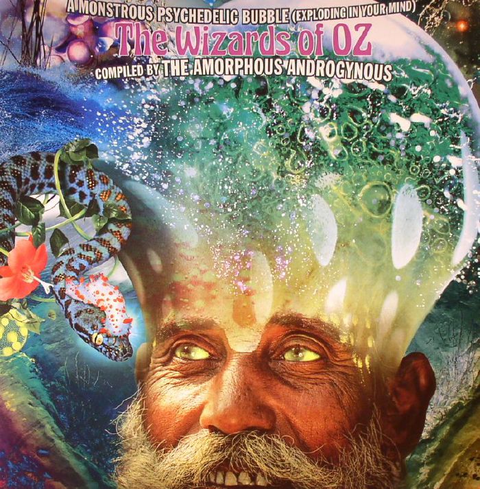 The Amorphous Androgynous A Monstrous Psychedelic Bubble (Exploding In Your Mind): The Wizards Of Oz