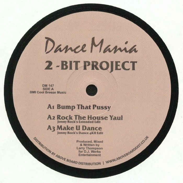 2 Bit Project Vinyl