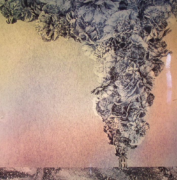 Daughn Gibson Carnation