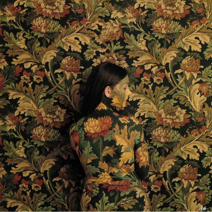 Honeyblood – In Plain Sight vinyl cover