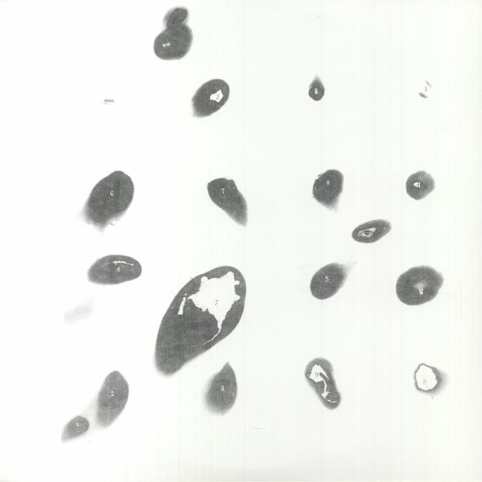 Hiroshi Tanaka | Yoichi Fuwa Untitled White Album