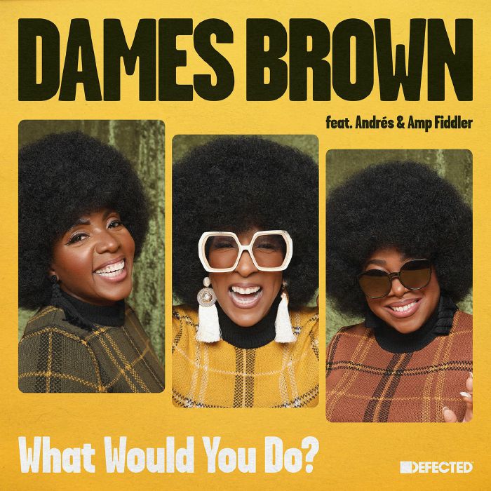 Dames Brown | Andres | Amp Fiddler – What Would You Do? vinyl cover