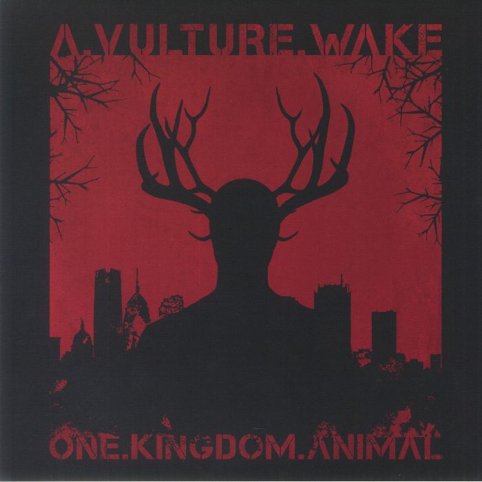 A Vulture Wake One Kingdom Animal