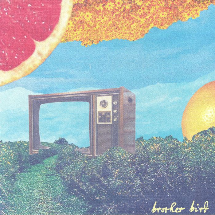 Brother Bird – Lodge In Miller County vinyl cover