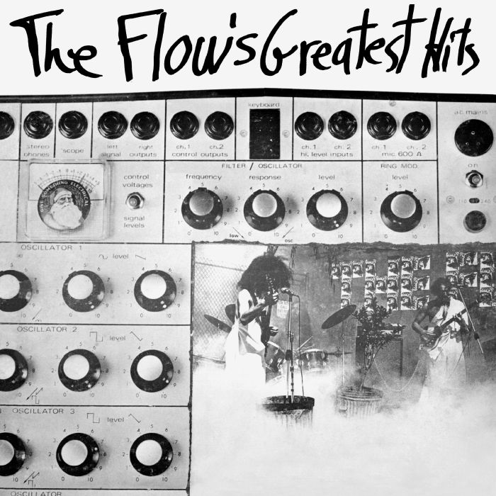 The Flow Vinyl