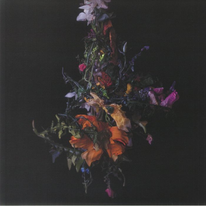 Big Brave – Nature Morte vinyl cover