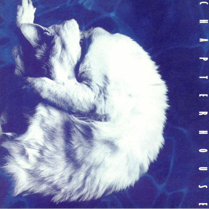 Chapterhouse – Whirlpool vinyl cover