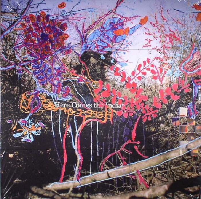 Animal Collective Here Comes The Indian (reissue)