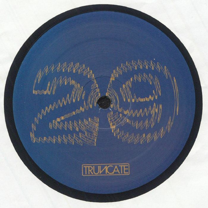 Truncate – Forgotten vinyl cover