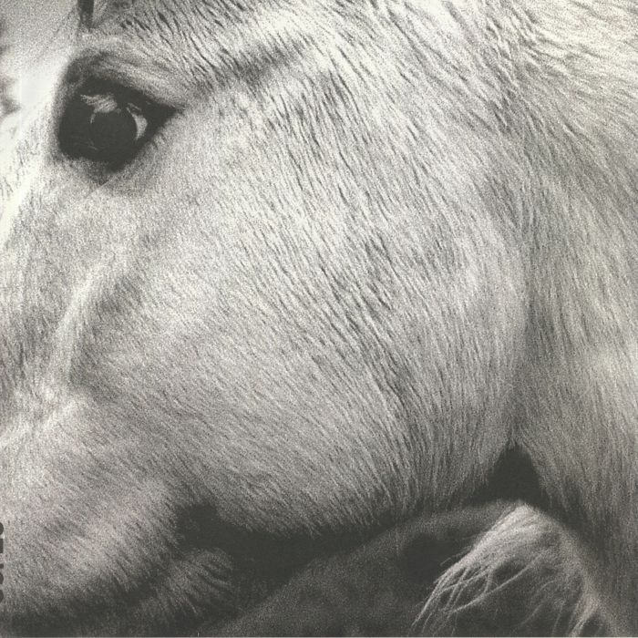 Bonny Light Horseman – Bonny Light Horseman vinyl cover