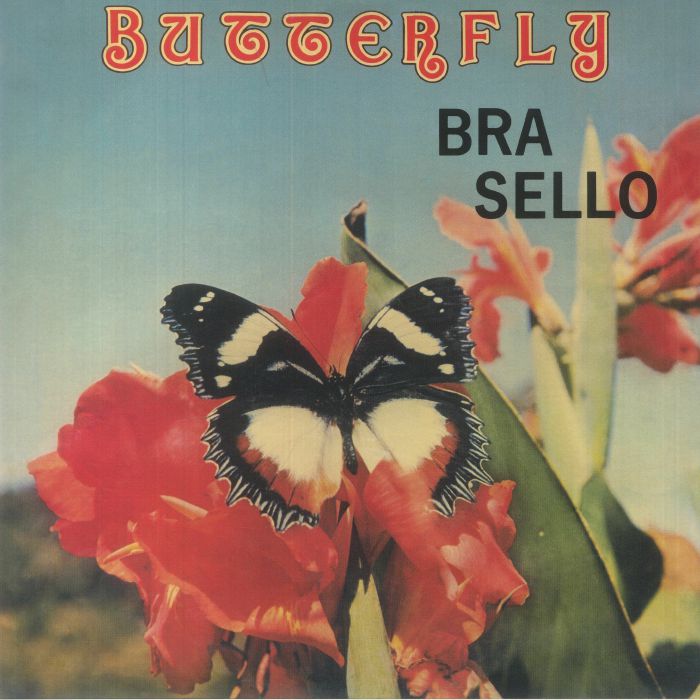 Bra Sello Butterfly