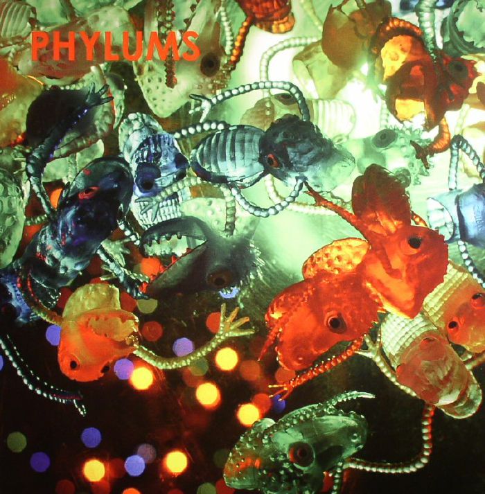 Phylums Phylum Phyloid